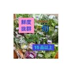 fu.... налог комплект *... Kagawa префектура -.. приятный TAGATAME. случайный . овощи комплект (15 товар и больше ) 1632116