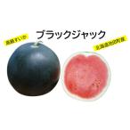 fu.... налог арбуз Hokkaido Ikeda блок ... Black Jack 5~6kg 1 шар Hokkaido производство .. время ограничено ограниченное количество арбуз 