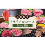 牛肉 年6回定期便 長崎和牛 トライアルコース