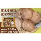 塩 だし 原木生椎茸+魔法の粉 原木生椎茸+乾し椎茸パウダー