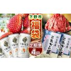 いちご 栃木 福袋 定期便のうまいもん 4回
