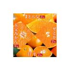 ショッピング甘平 ふるさと納税 果物類 みかん 愛媛県 八幡浜市  発送月固定定期便 「蜜時(みつどき)便り」愛媛限定のまどんなや甘平も届きます H64-92 全4回_みかん ミカン マ…