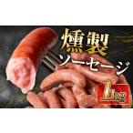 肉 ソーセージ 燻製ソーセージ 業務用 1袋セット