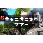 体験チケット 夏季 西表島 森林浴キャニオニングツアー