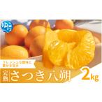 ふるさと納税 みかん・柑橘類 和歌山県 由良町  来シーズン先行予約 完熟さつき八朔 2kg 2026年3月下旬頃から発送予定 ／ はっさく ハッサク 柑橘 由良町 果物…