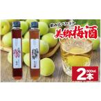 お酒 リキュール 梅酒 飲み比べ 2本セット