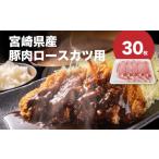 産豚肉ロースカツ用30枚セット_K65_0004_1