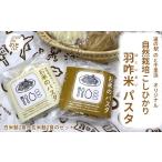 パスタ 生 半生めん 白米麺×2 玄米麺×2