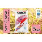 ふるさと納税 米 ササ