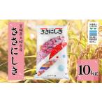 ふるさと納税 米 ササ