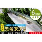 旬の鮮魚等 6キロ台 11 1~1 15お届け