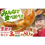 餃子 食べ比べ生 ファミリーセット 80個入り