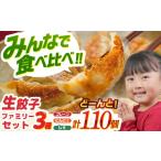 餃子 食べ比べ生 ファミリーセット 110個入り