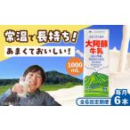 飲料類 牛乳 全6回定期便 大阿蘇 1000ml