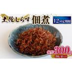 魚貝類 定期便12回 土佐しらす佃煮 300g
