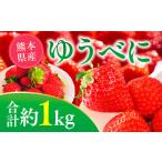 ふるさと納税 いちご 熊本県 八代市 先行予約 ゆうべにいちご 約1kg フルーツ 果物 くだもの 旬 ジャム 季節の果物 2026年2月上旬より順次発送