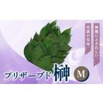仏具 神具 プリザーブド 榊 Mサイズ 1対 2束