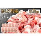 ふるさと納税 豚肉 炒め物 宮崎県 串間市 KU092-2 数量限定 宮崎県産豚こま切れ　計2kg(200g×10パック)　便利な個包装　 KU092 200g×10パック (計2kg)