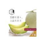 ふるさと納税 メロン 茨城県 - 茨城県鉾田市産 アールスメロン 2.0kg以上×1玉 1644495