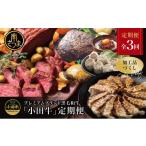 肉 ハンバーグ 全3回 プレミアムブランド