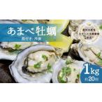 ふるさと納税 牡蠣 生牡蠣 徳島県 海陽町 あまべ牡蠣 冷凍 1kg 牡蠣 シングルシード 生食用 殻付き かき カキ オイスター 生ガキ 生牡蠣 生がき 生かき