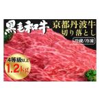 ふるさと納税 牛肉 すき焼き 京都府 亀岡市  冷凍 厳選 京丹波牛 4等級以上 贅沢 切り落とし1.2kg（600g×2パック） 冷凍 《京都 丹波産 黒毛和牛 丹波牛 和牛…