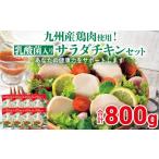 九州産鶏肉使用 乳酸菌入りサラダチキンセット 合計800g