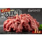 牛肉 訳あり 遠州夢咲牛 切り落とし 1000g