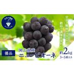 岡山 花笑み農園のニューピオーネ 優品 約2kg
