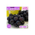 ご 産オーロラブラック クール便 約1.2kg