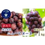 岡山 花笑み農園の訳ありニューピオーネ 1kg
