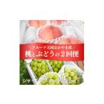 ふるさと納税 もも 岡山県 津山市  発送月固定定期便 2026年先行予約 人気果物2種類が届く 桃とシャインの満足便(岡山産)全2回 4063159