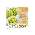 ふるさと納税 ぶどう 岡山県 津山市  発送月固定定期便 2026年先行予約 シャインマスカット計2kg〜と梨2-3種上級品岡山産全2回_定期便 シャインマスカット 梨 …