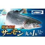 ふるさと納税 魚貝類 サーモン 岩手県 陸前高田市 予約受付 令和8年発送 陸前高田サーモン丸々1本(2.5kg前後)
