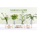 花 苗木 月1回 12ヶ月定期便 旬をかざる