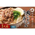 うどん 冷凍 肉ぶっかけうどん 3人前