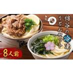 惣菜 レトルト 冷凍 うどん 冷凍うどん 2種