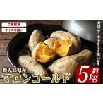 野菜類 サツマイモ 産マロンゴールド約5kg