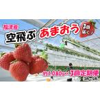 ふるさと納税 いちご 福岡県 福津市  3回届く （3月〜5月） 福津産『空飛ぶあまおう』約1,080g×3回定期便 スカイフローラファーム G7055