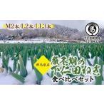 fu.... налог овощи вид лук порей Gunma префектура внизу . рисовое поле блок . зима период. внизу . рисовое поле лук порей еда . сравнение комплект (M 2 шт *L 2 шт *LL3шт.@)...... лук порей лук-батун король лук порей Special производство питание вдоволь b...