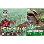 fu.... налог овощи вид лук порей Gunma префектура внизу . рисовое поле блок подлинный внизу . рисовое поле блок одобрено лук порей. . участник . сделал внизу . рисовое поле лук порей еда . сравнение комплект (M 2 шт *L 2 шт *LL3шт.@)...... лук порей лук-батун...