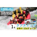 体験チケット ラフティング 吉野川1DAYコース 1名