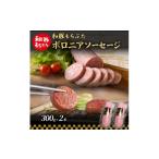 肉 ソーセージ 和豚 もちぶた ボロニアソーセージ 300g×2本