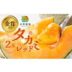 ふるさと納税 メロン メロン赤肉 愛知県 田原市 先行予約 2026年6月発送 水野農園産タカミレッド 2玉