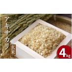 ふるさと納税 玄米 徳島県 吉野川市 先行予約 令和7年産 米 玄米 4kg ( 2kg × 2袋 )アキサカリ 令和7年度産 新米 1袋2kg 小分け お米 こめ 精米 健康 ごは…