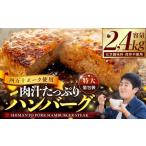 ふるさと納税 肉 ハンバーグ 高知県 須崎市 ハンバーグ 四万十ポーク 入り 2.4kg ( 200g × 12個 ) 冷凍 真空 小分け 個包装 肉汁 たっぷり 大容量 大きめ 合…