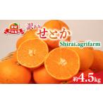 ショッピングふるさと納税 訳あり 不揃い ふるさと納税 果物類 みかん 愛媛県 宇和島市  3月5日から発送予定 せとか 訳あり 約4.5kg サイズ 不揃い Shirai.agrifarm | みかん せとか 柑橘 みかん 4.5kg…