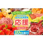 果物類 定期便 10回 支援 企画 くまもと 生産