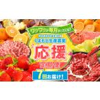 果物類 定期便 7回 支援 企画 くまもと 生産