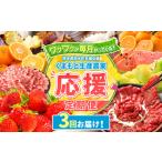 果物類 定期便 3回 支援 企画 くまもと 生産